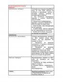 Resumo neurotransmissores pequenas moléculas