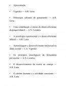 Fichamento Linguagem de Lev Semenovitch Vygotsky