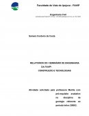 RELATORIOS DO I SEMINÁRIO DE ENGENHARIA DA FAVIP: CONSTRUÇÃO E TECNOLOGIAS