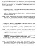 Planos Genéticos da Teoria de Vygotsky