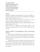 Instituto de Relações Internacionais Disciplina: Economia Política II