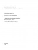 Trabalho da disciplina Fundamentos de Matemática Financeira e Estatística Aplicada