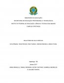 INSTITUTO FEDERAL DE EDUCAÇÃO, CIÊNCIA E TECNOLOGIA BAIANO
