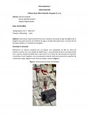 Micro Gerador de Gases O2 e H2