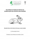 RELATÓRIO DO TRABALHO PRÁTICO DA ALIMENTAÇÃO DOS COELHOS PARA ENGORDA