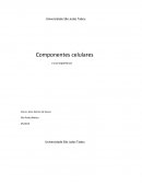 Componentes celulares