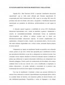 FORMAÇÃO DOS PROFESSORES/ SALAS DE RECURSOS MULTIFUNCIONAIS