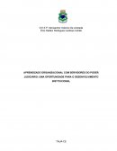 APRENDIZADO ORGANIZACIONAL COM SERVIDORES DO PODER JUDICIÁRIO: UMA OPORTUNIDADE PARA O DESENVOLVIMENTO INSTITUCIONAL