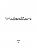 Impacto da utilização de e-CRM tendo como base o modelo de adoção tecnológica (TAM)