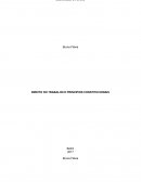 O Direito do Trabalho e princípios constitucionais