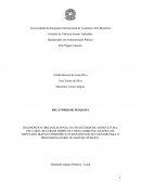 AS RELAÇÕES DESENVOLVIDAS PELAS EMPRESAS/NEGÓCIOS COM O PODER POLÍTICO MUNICIPAL E ESTADUAL