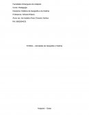 Portifolio