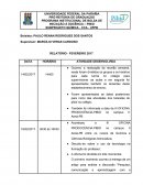 PROGRAMA INSTITUCIONAL DE BOLSA DE INICIAÇÃO À DOCÊNCIA – PIBID
