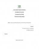 O impacto dos Benefícios fiscais para o desenvolvimento de Moçambique