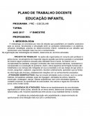 Plano de Aula Educação Infantil