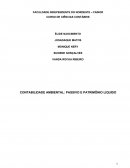 CONTABILIDADE AMBIENTAL: PASSIVO E PATRIMÔNIO LIQUIDO