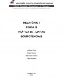 Relatório I - Linhas equipotenciais