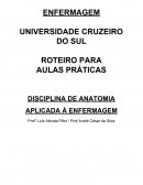 O curso de Anatomia Aplicada à Enfermagem