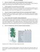 ECOFISILOGIA DE PLANTAS CULTUVAVEIS