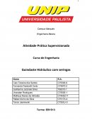 Atividade Prática Supervisionada Curso de Engenharia Guindaste Hidráulico com seringas