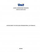 ESTÁGIO BÁSICO I DE PSICOLOGIA ORGANIZACIONAL E DO TRABALHO