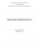 ANÁLISE DE CONCEITOS FENOMENOLÓGICO-EXISTENCIALISTAS OBSERVADOS NA OBRA ‘A METAMORFOSE’ DE FRANZ KAFKA