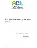 Espectros de absorção electrónica de cianinas Química-física