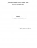 TRABALHO: VERBETES SOBRE O TEMA ECONOMIA