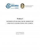 DETERMINAÇÃO DO ESPECTRO DE ABSORÇÃO DE CORANTES E CONSTRUÇÃO DE CURVA PADRÃO