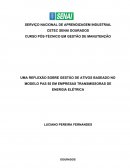 UMA REFLEXÃO SOBRE GESTÃO DE ATIVOS BASEADO NO MODELO PAS 55 EM EMPRESAS TRANSMISSORAS DE ENERGIA ELÉTRICA