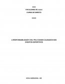 A RESPONSABILIDADE CIVIL PELO DANOS CAUSADOS NOS EVENTOS ESPORTIVOS