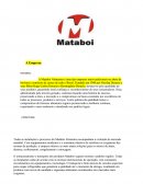 Trabalho Engenharia A Mataboi Alimentos