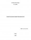 CONCEITOS BASICOS SOBRE PROCESSOS DE RH