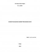 CONCEITOS BASICOS SOBRE PROCESSOS DE RH