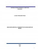 EDUCAÇÃO ESPECIAL E PERSPECTIVA DA EDUCAÇÃO NO BRASIL