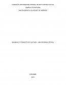 BAUMAN E O CONCEITO DE CULTURA – UMA RESENHA CRÍTICA.
