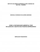 COMO A CONTABILIDADE AMBIENTAL PODE INFLUENCIA OS PASSIVOS EMPRESARIAIS