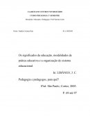 Resumo - Livro Pedagogia e pedagogos para que?