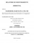 RELATORIO DE MONITORAMENTO AMBIENTAL (RMA)