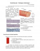 O Tecido Muscular – Histologia e Embriologia I