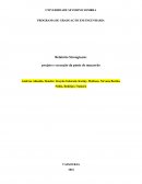 Relatório Strongteam: Projeto e Execução da Ponte de Macarrão