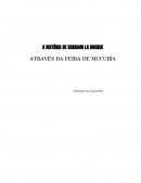 A HISTÓRIA DE SENADOR LA ROCQUE ATRAVÉS DA FEIRA DE MUCUIBA