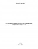 ESTUDOS SOBRE AS CONTRIBUÇÕES DA ANÁLISE EXPERIMENTAL DO COMPORTAMENTO NO TRABALHO