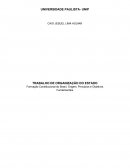 Formação Constitucional do Brasil, Origem, Princípios e Objetivos Fundamentais