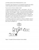 O CONTROLADOR LÓGICO PROGRAMÁVEL (CLP)