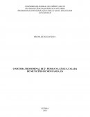 O SISTEMA PRONOMINAL DE 2ª. PESSOA NA LÍNGUA FALADA DO MUNICÍPIO DE MONTANHA, ES