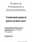 Projeto de Treinamento e Desenvolvimento “Transformando equipes de gestores em líderes natos”