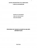 PROCESSO DE CUIDAR DA SAÚDE DA MULHER: AMAMENTAÇÃO