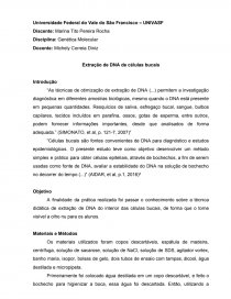 trabalhos gratuitos