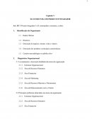 ESTUDO DE CASO: ORGANIZAÇÃO DE VENDAS DA PLURIBIZ